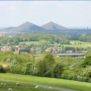 vue des terrils de lens