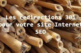 redirection 301 pour le seo